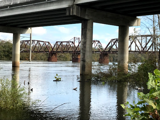 National Forest «Francis Marion National Forest», reviews and photos, 2967 Steed Creek Rd, Huger, SC 29450, USA