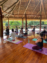 Malan's Yoga Garden - Photo 4 - Car repair in Los Angeles, CA, Torrance