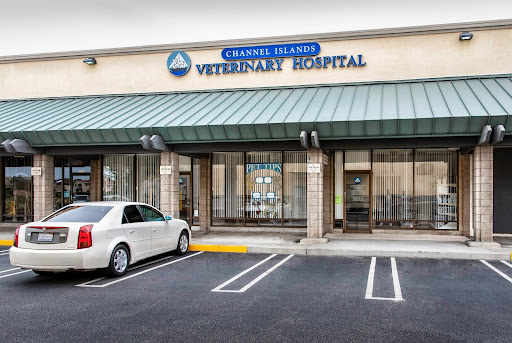 Channel Islands Veterinary Hospital