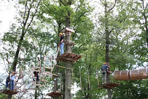 Mosel Adventure Forest image