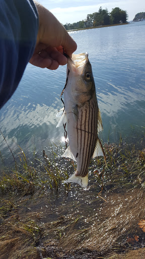 Park «Masconomo Park», reviews and photos, 60 Beach St, Manchester-by-the-Sea, MA 01944, USA