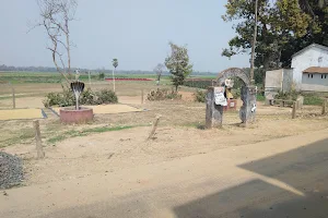 Nandan Kanan Park image
