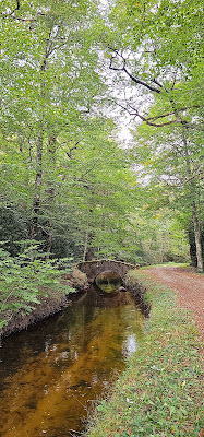 Pont de l'Alquier-Ouest à Saissac