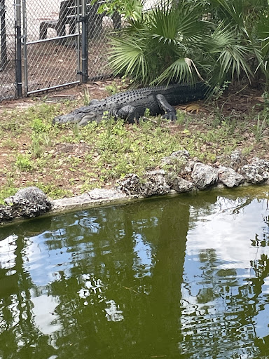 Nature Preserve «Calusa Nature Center & Planetarium», reviews and photos, 3450 Ortiz Ave, Fort Myers, FL 33905, USA