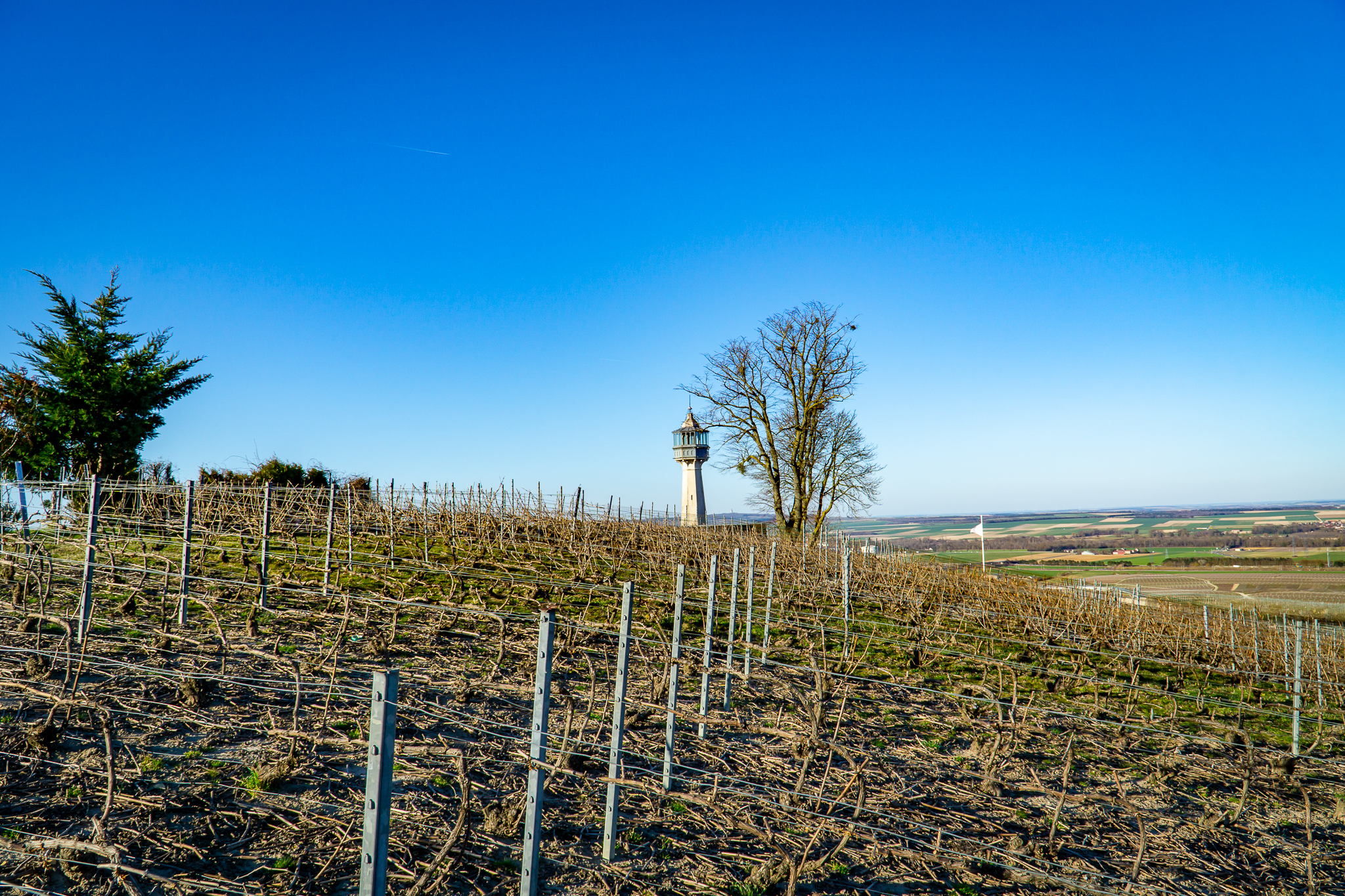 Photo n° 11 de l'avis de Franck.i fait le 28/02/2022 à 12:32