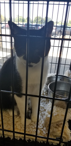 Pet Supply Store «Pet Valu», reviews and photos, 3735 Palomar Centre Dr #130, Lexington, KY 40513, USA