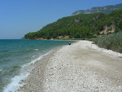 Akyaka Kampı Plaji'in fotoğrafı çok temiz temizlik seviyesi ile