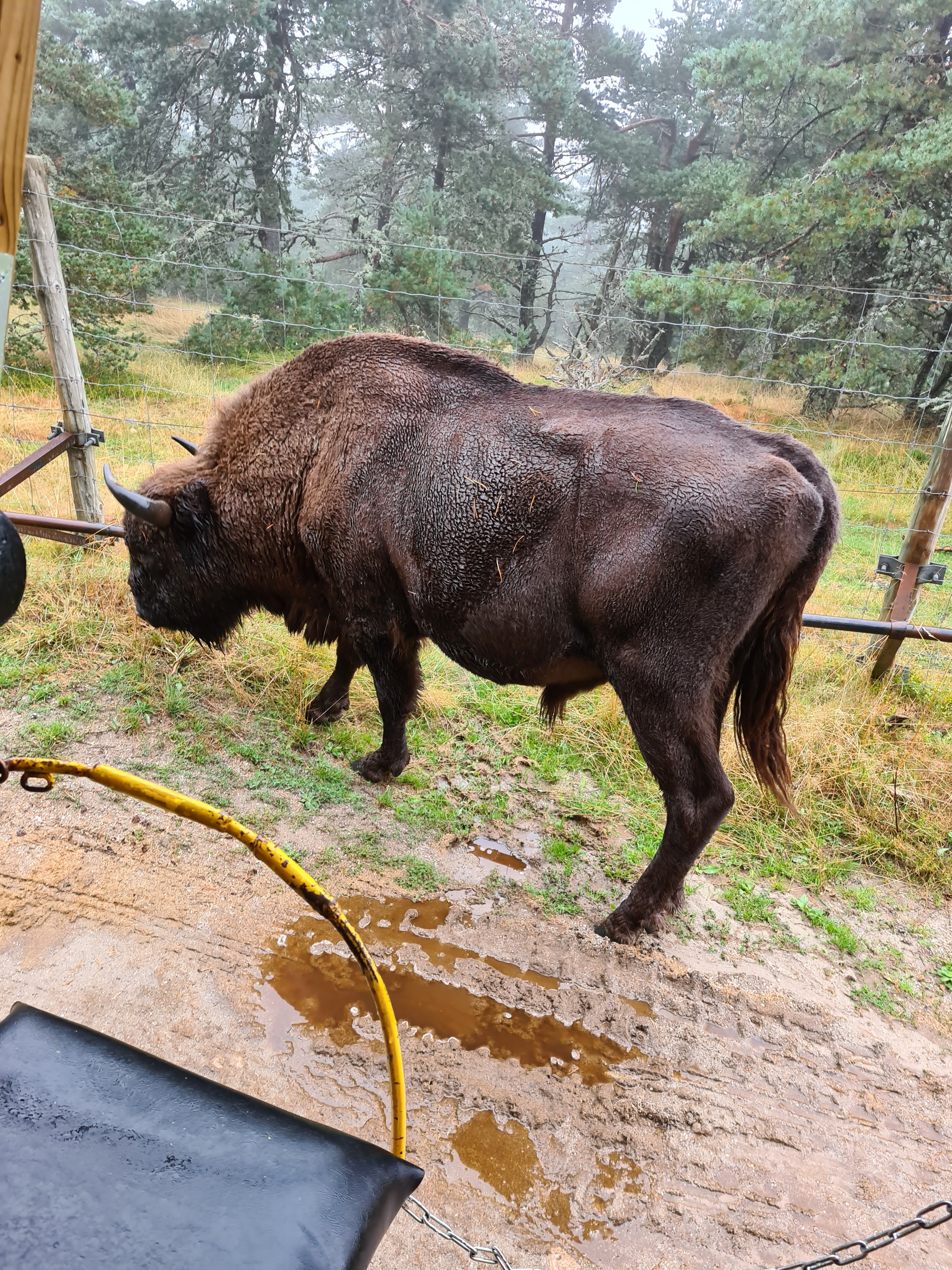 Photo n° 4 de l'avis de Christelle. fait le 28/08/2020 à 18:19