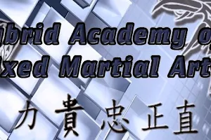 Hybrid Academy of Mixed Martial Arts image
