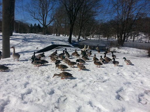 Park «Roger Williams Park Carousel Village», reviews and photos, 1000 Elmwood Ave, Providence, RI 02907, USA