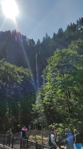 Park «Evelyn M. Schiffler Memorial Park», reviews and photos, SW Erickson Ave, Beaverton, OR 97005, USA