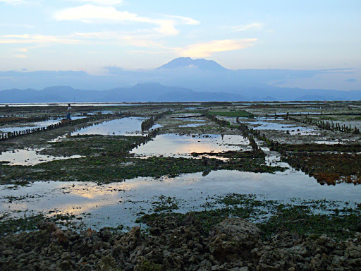 Travel Agency «SkyPath Travel», reviews and photos, 4221 NW 126th Ave, Portland, OR 97229, USA