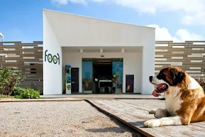 Foof Museum of the Dog Mondragone image