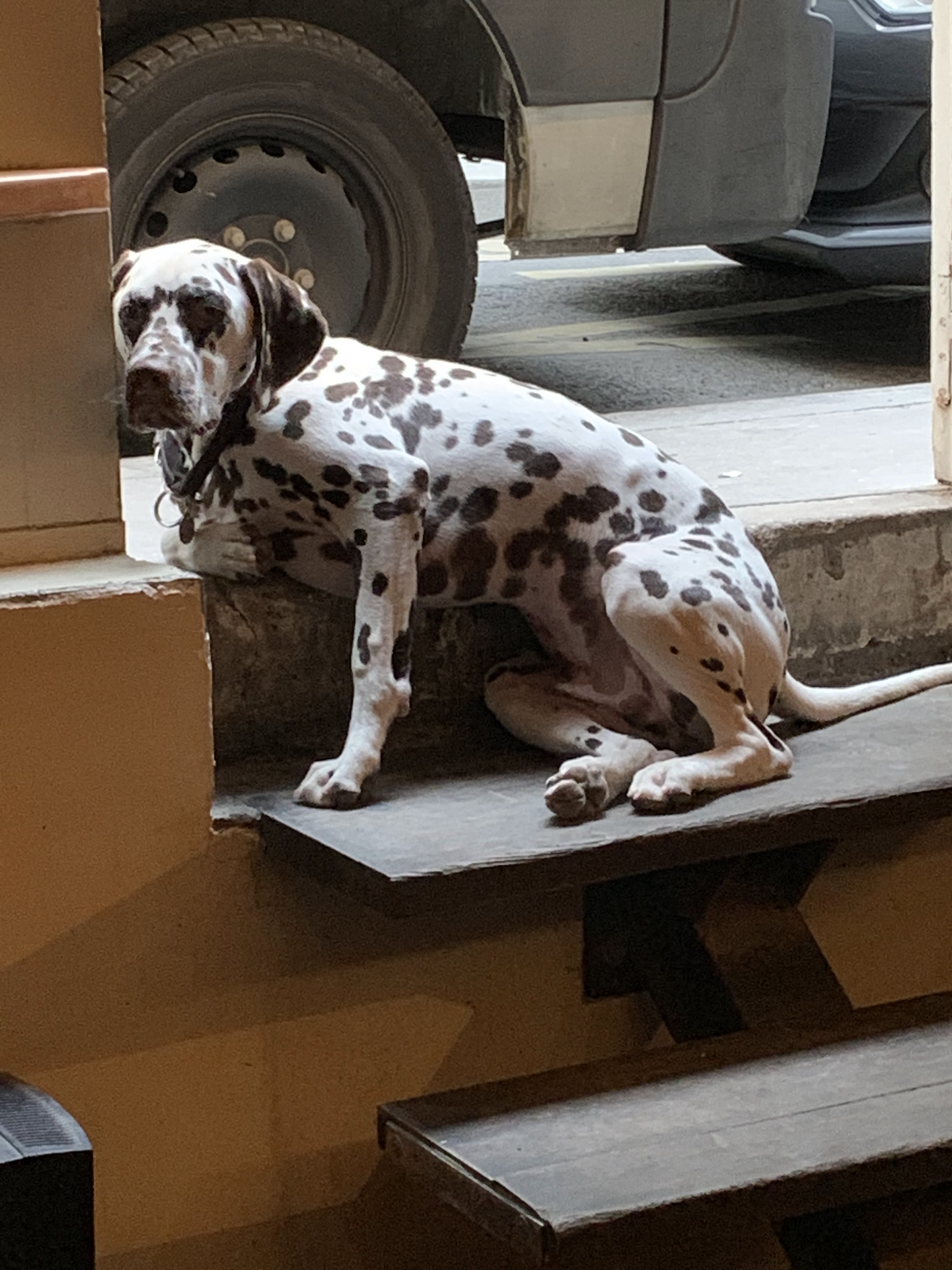 Photo n° 1 de l'avis de Cassie.e fait le 12/09/2019 à 18:53