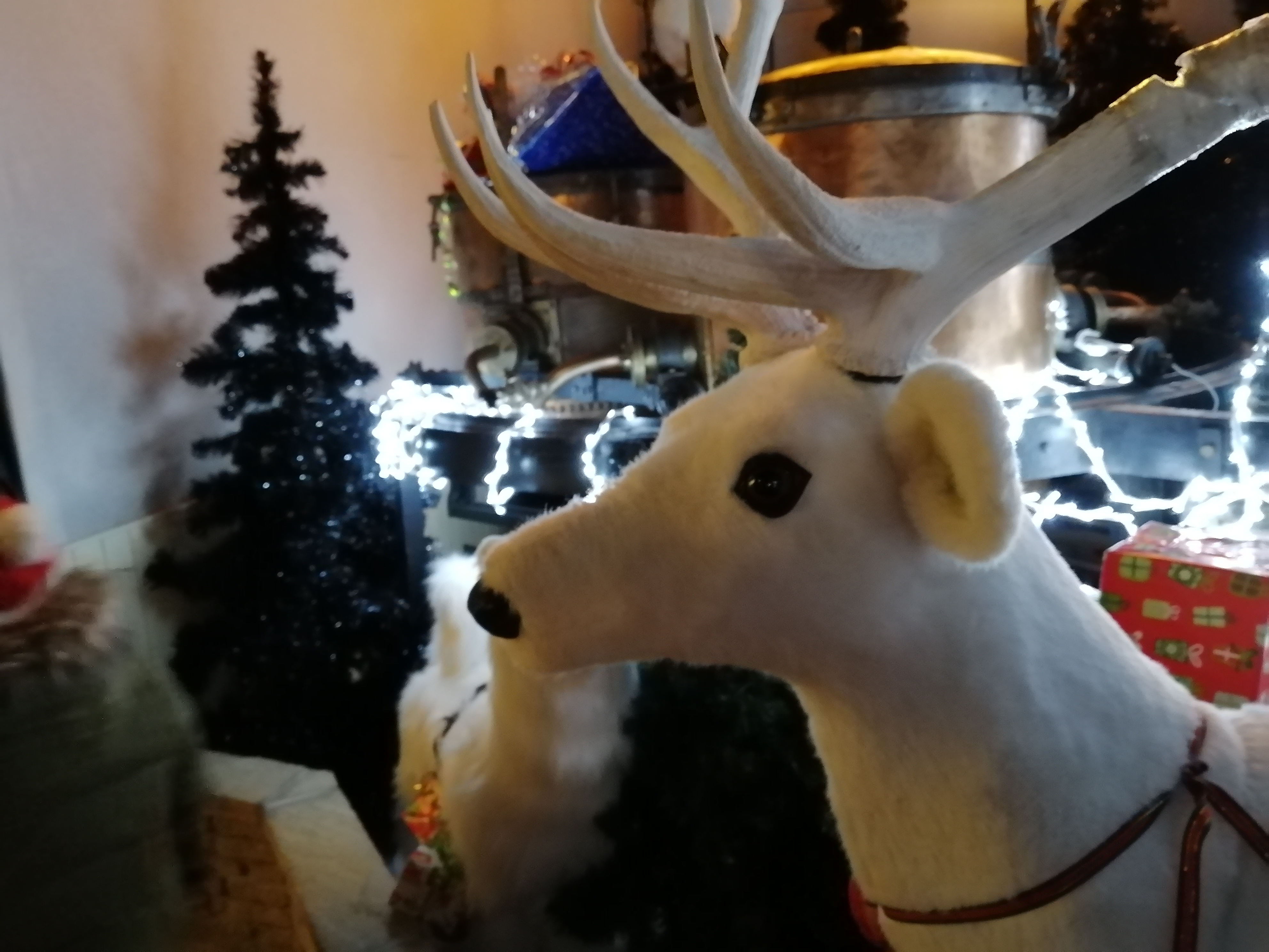 Photo n° 3 de l'avis de Patricia.o fait le 14/12/2019 à 20:05