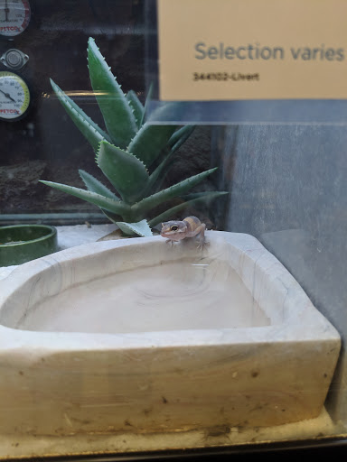 Pet Supply Store «Petco Animal Supplies», reviews and photos, 3591 Washington Blvd, Halethorpe, MD 21227, USA