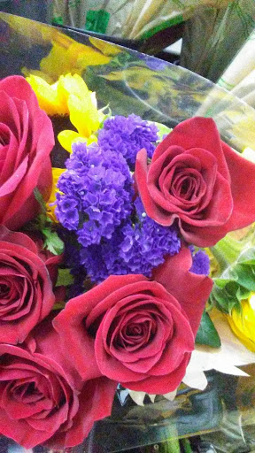 Discount Store «Dollar General», reviews and photos, 415 Main St, Fountain Run, KY 42133, USA