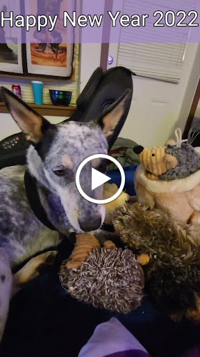 Pet Supply Store «Mud Bay», reviews and photos, 2800 196th St SW, Lynnwood, WA 98036, USA