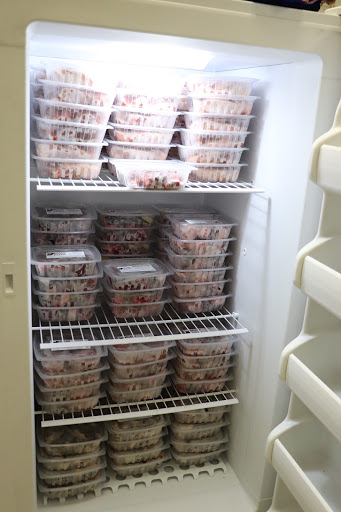 Pet Supply Store «Bully Zone Pet Supplies & Pet Grooming», reviews and photos, 1409 McCarter Hwy, Newark, NJ 07104, USA