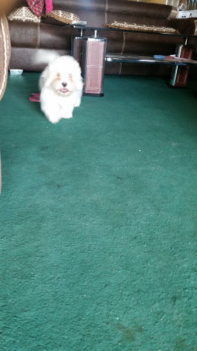 Monaco Suites, New Abuja Akau, Dadin Kowa, Nigeria, Hotel, state Plateau