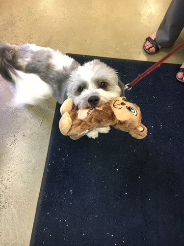 Pet Supply Store «Atlas Pet Supply», reviews and photos, 12761 Central Ave NE, Blaine, MN 55434, USA