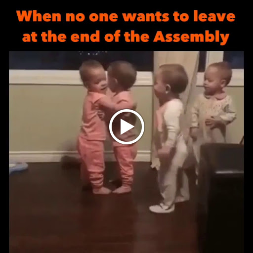 Florist «Enchanted Florist of Ypsilanti MI», reviews and photos, 46 E Cross St, Ypsilanti, MI 48198, USA