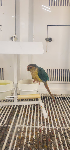 Pet Supply Store «Petco Animal Supplies», reviews and photos, 1500 N Town E Blvd, Mesquite, TX 75150, USA