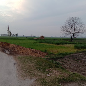 Rathour Boys Walliwal Club photo