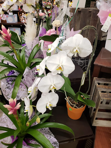 Grocery Store «Vons», reviews and photos, 550 E Baseline Rd, Claremont, CA 91711, USA