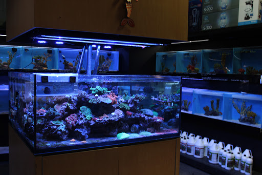 Pet Supply Store «AGE OF AQUARIUMS», reviews and photos, 2642 Cherry Ave, Signal Hill, CA 90755, USA