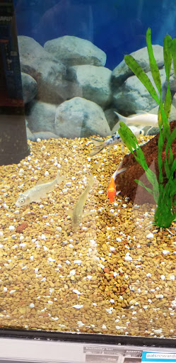 Pet Supply Store «Petco Animal Supplies», reviews and photos, 200 Center Blvd S, Christiana, DE 19702, USA