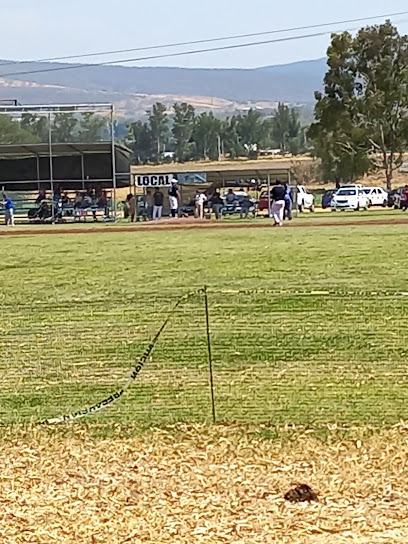 Campo de béisbol EL VERGEL