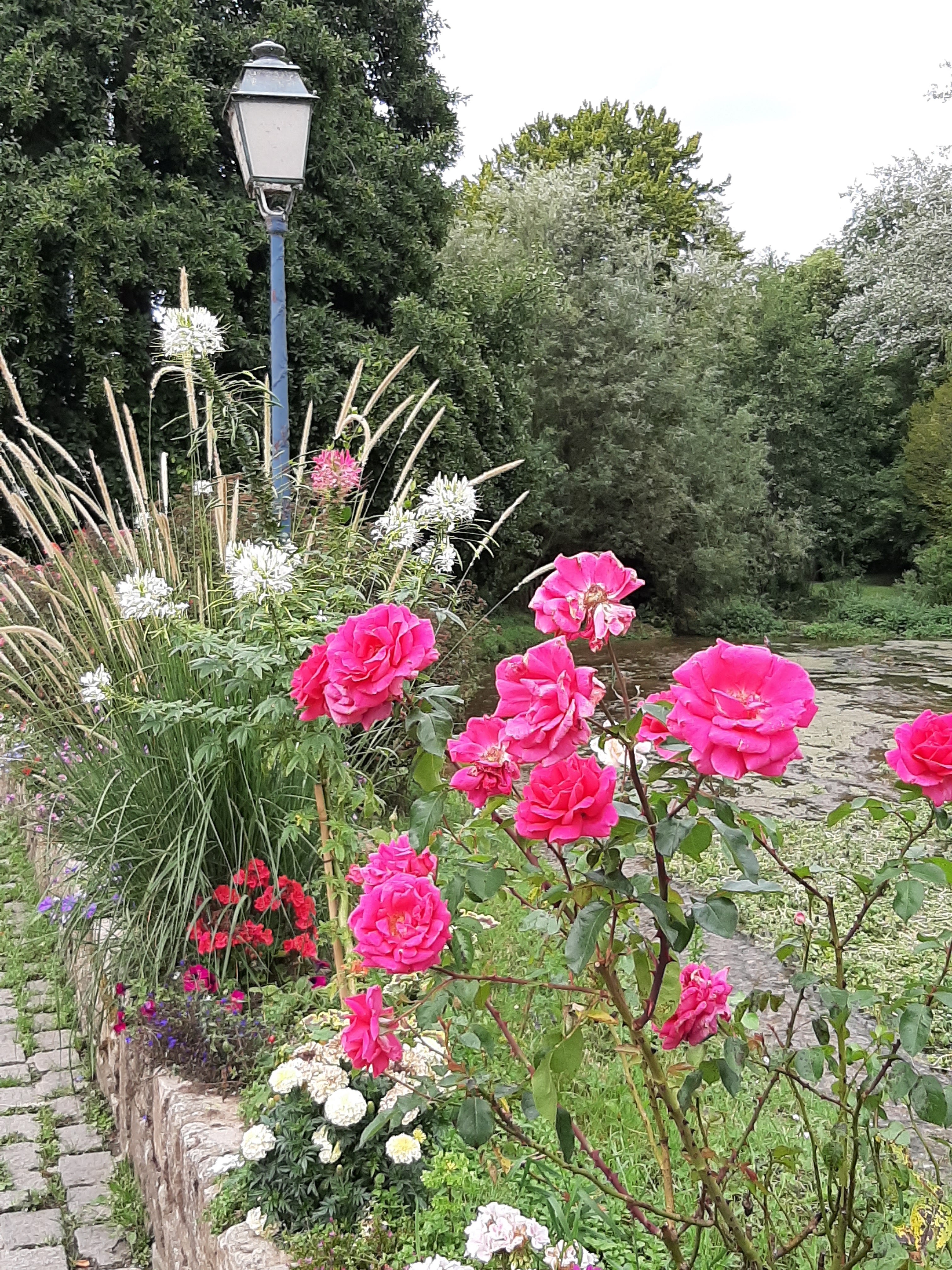 Photo n° 11 de l'avis de Irene.r fait le 09/09/2019 à 16:03
