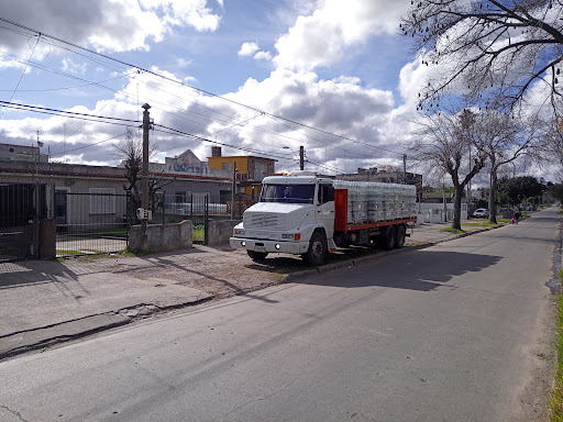 AF1QipO6 XoEECwDBAnurMtDyJT