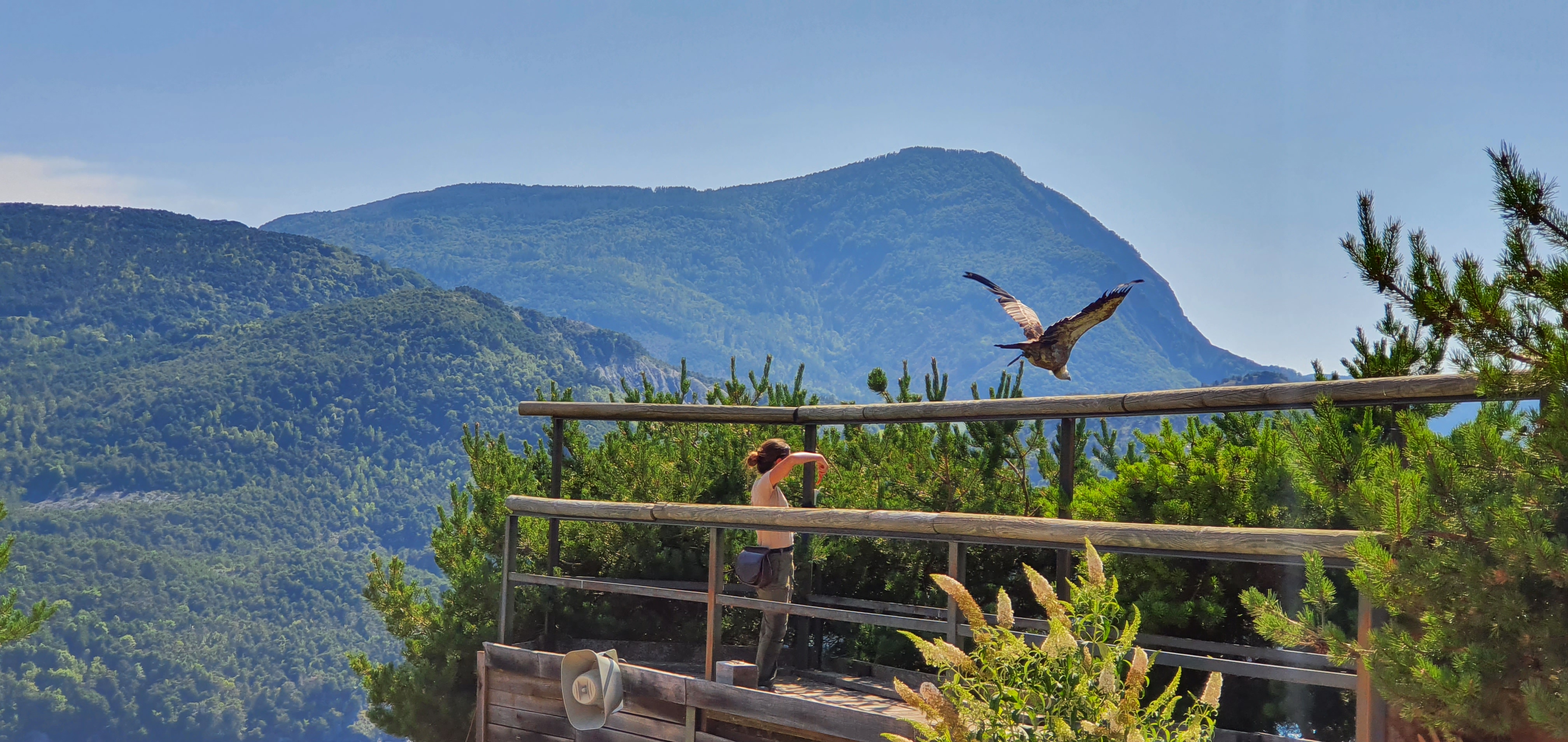 Photo n° 4 de l'avis de Alain.R fait le 30/08/2021 à 21:58