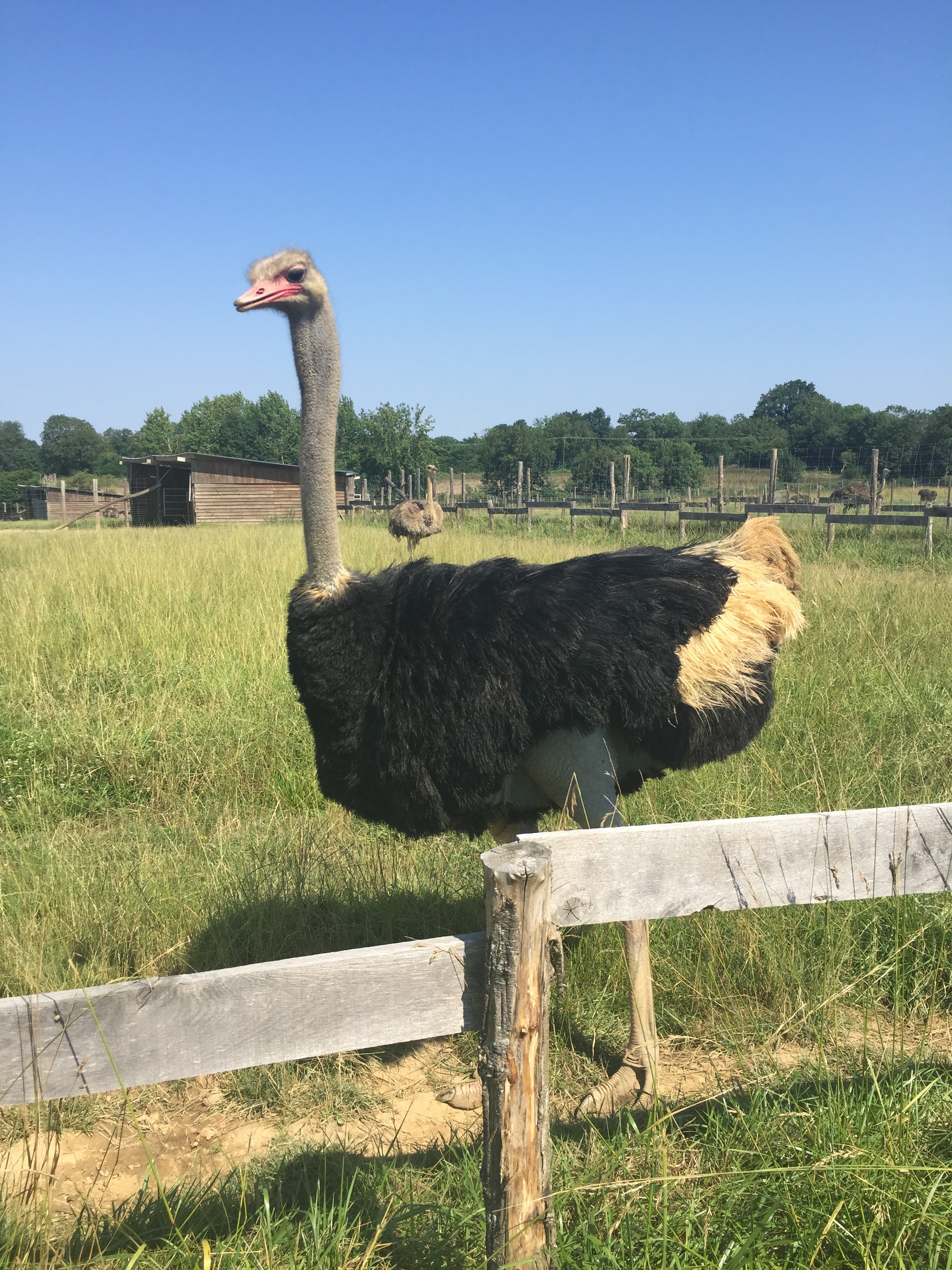 Photo n° 1 de l'avis de Emilie.l fait le 19/01/2019 à 22:57