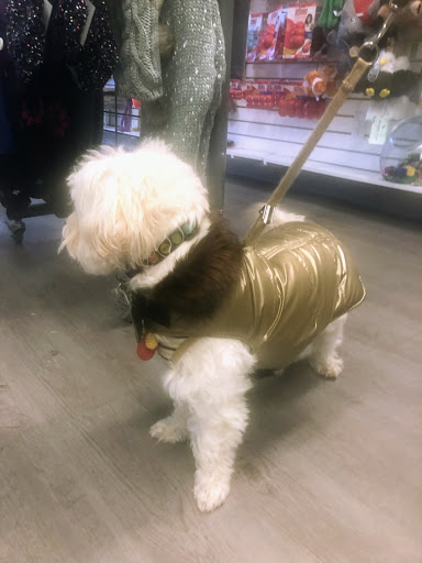 Pet Supply Store «Sonoma Pet and Aquatics», reviews and photos, 201 W Napa St #7, Sonoma, CA 95476, USA