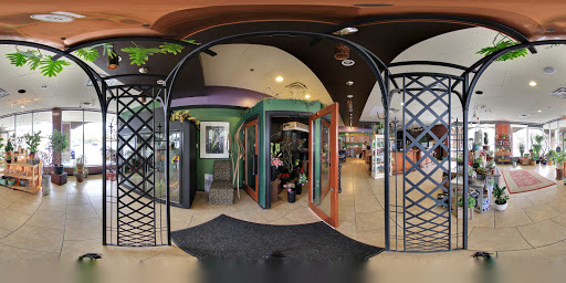 Florist «Foothills Floral Gallery», reviews and photos, 4647 E Chandler Blvd # 10, Phoenix, AZ 85048, USA