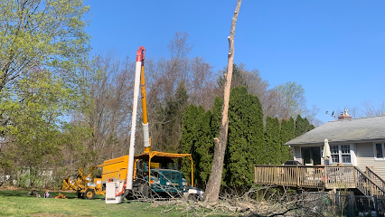 Timber Works Tree Service