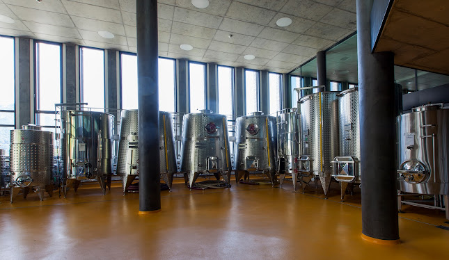 Via Crivelli Torricelli 27, 6900 Lugano