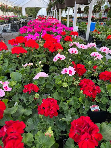 Florist «TG Designs», reviews and photos, 19231 Longmeadow Rd, Hagerstown, MD 21742, USA