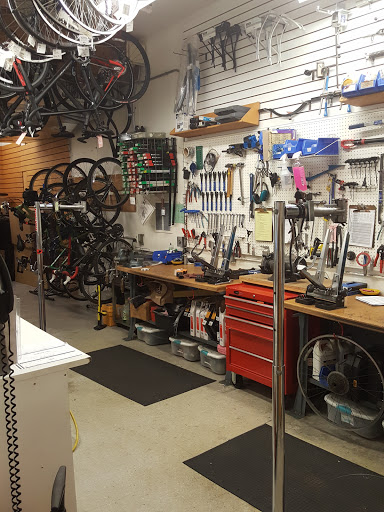 Camping Store «REI», reviews and photos, 306 Lawrence St, Eugene, OR 97401, USA