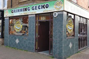 Grinning Gecko image