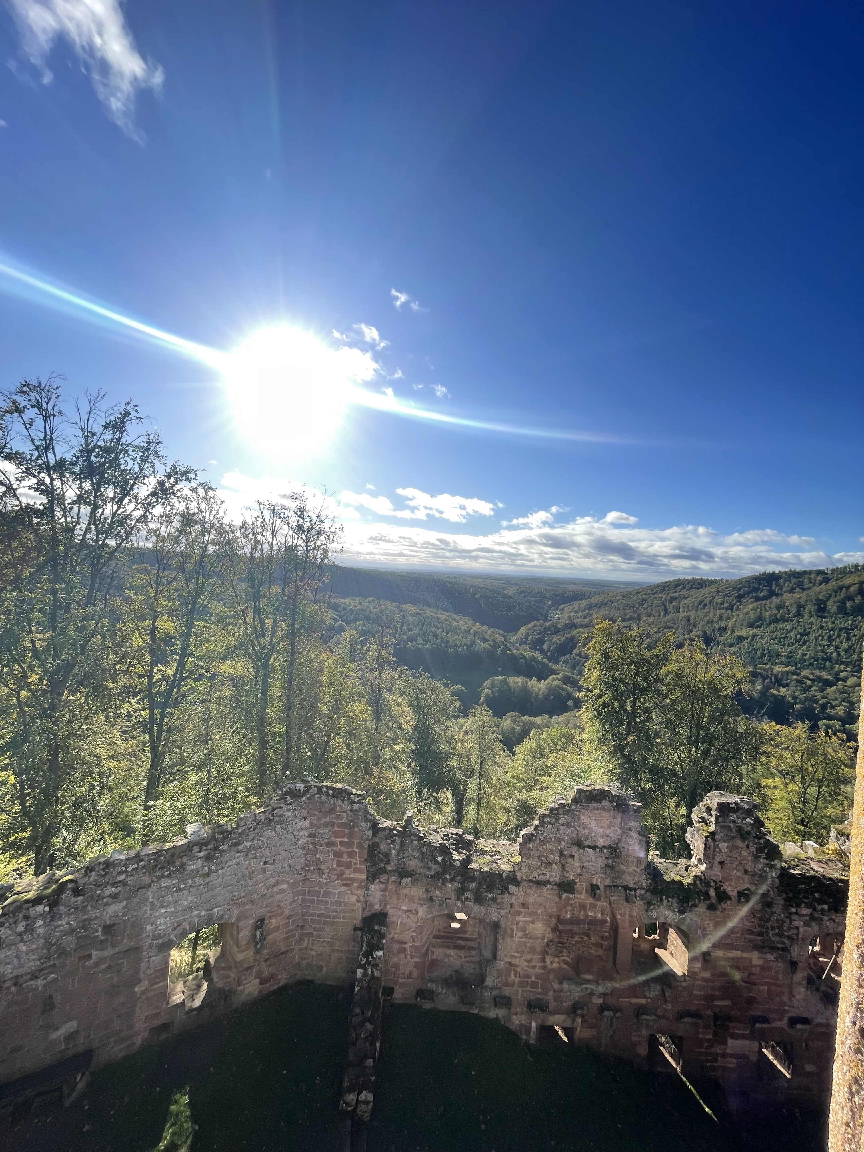 Photo n° 3 de l'avis de Chloé. fait le 25/10/2023 à 21:31