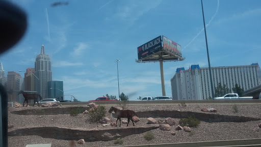 Tourist Attraction «Dig This Las Vegas», reviews and photos, 3012 S Rancho Dr, Las Vegas, NV 89102, USA