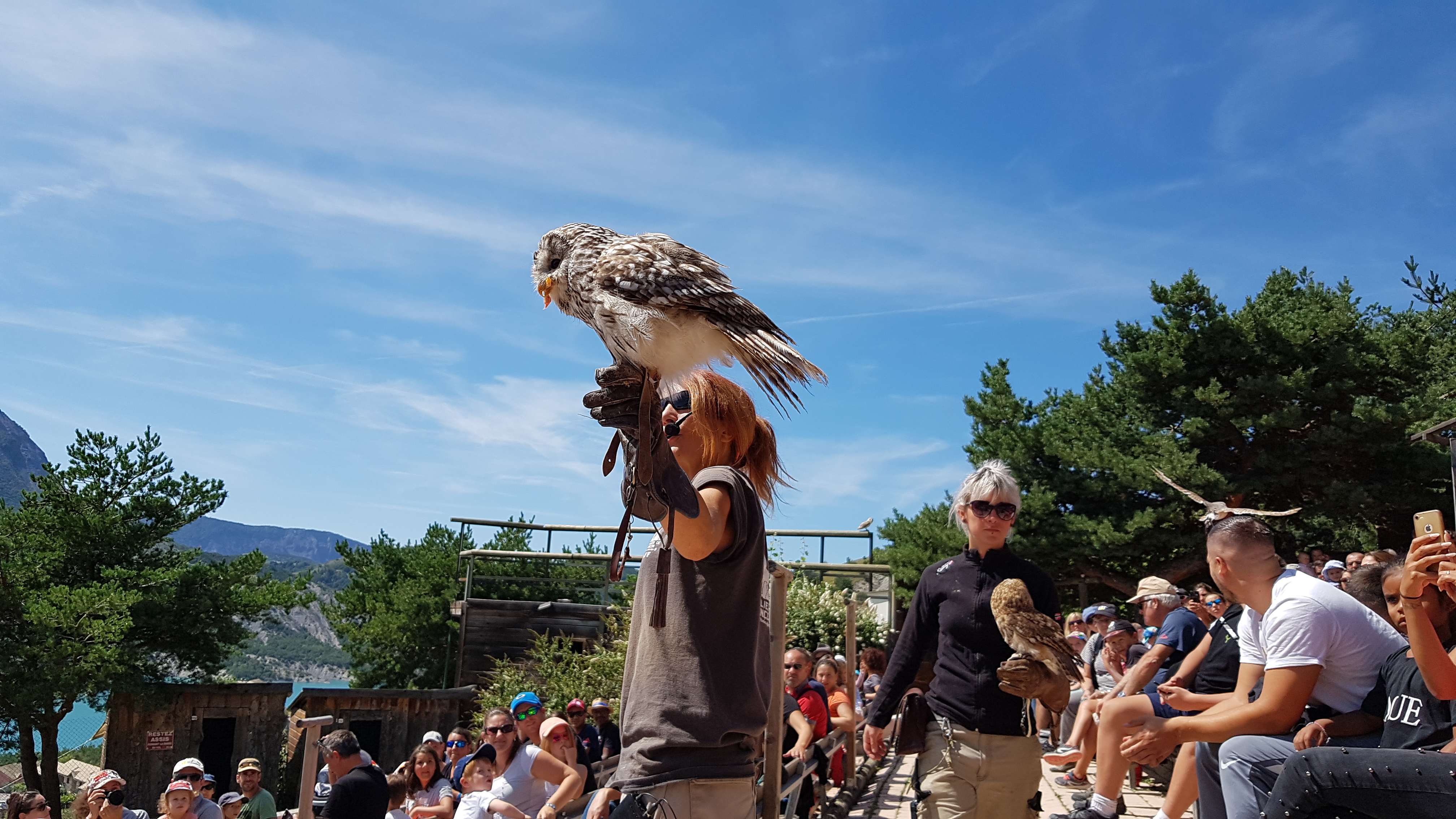 Photo n° 12 de l'avis de TonTon.e fait le 26/08/2018 à 21:52