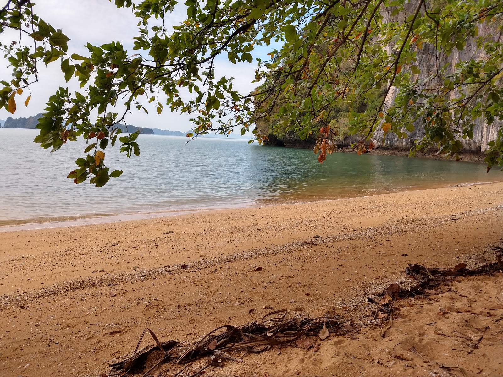 Valokuva Tamarind bay Beachista. pinnalla kirkas hiekka:n kanssa