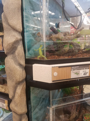 Petco