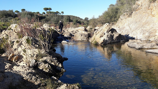 Natural parks nearby Seville