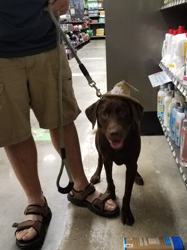Pet Supply Store «Petco Animal Supplies», reviews and photos, 9350 US 49 a, Gulfport, MS 39503, USA